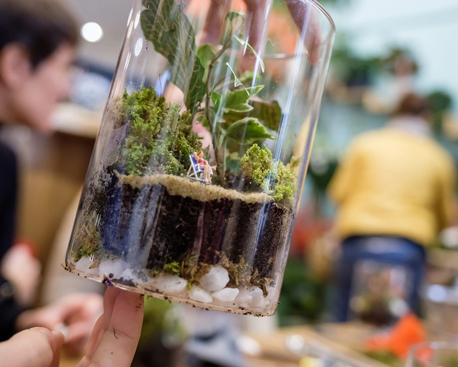 terrarium floral team building casablanca